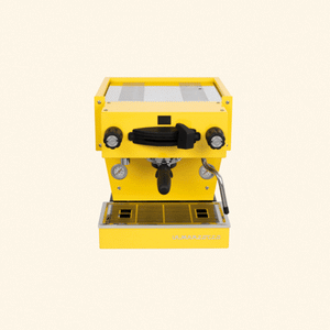 La Marzocco Linea Mini R